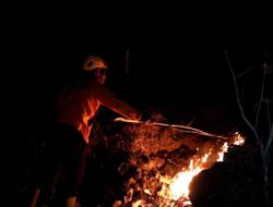 Hutan Jati di Gunung Gombak, Ponorogo, Terbakar, Luasnya 7 Hektar, Ini Infonya