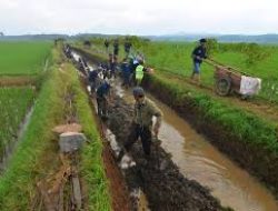 Perbaikan Irigasi Permudah Pengairan Sawah, Petani di Kecamatan Ringinrejo Lakukan Normalisasi Irigasi Secara Mandiri