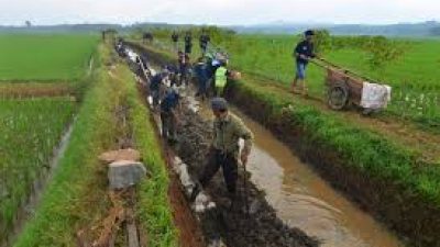 Perbaikan Irigasi Permudah Pengairan Sawah, Petani di Kecamatan Ringinrejo Lakukan Normalisasi Irigasi Secara Mandiri