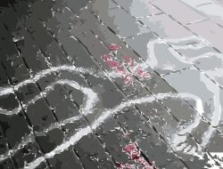 Kronologi Bapak Tewas Dicangkul Anak di Blitar, Diduga Alami Gangguan Jiwa