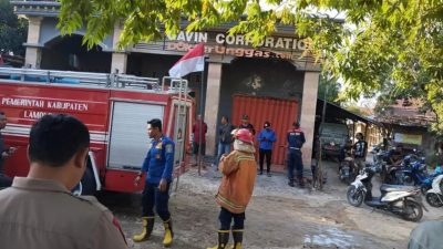 Lahan Tebu di Lamongan Kebakaran, Diperkirakan Kerugian Capai Rp 10 Juta