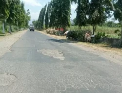 Dinas PUPR Kabupaten Kediri Janji Segera Perbaiki  Jalan Rusak, Ini Kata Kepala Dinasnya
