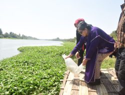 Pj Wali Kota Kediri Zanariah Tebar 35.000 Benih Ikan Bersama WWI Regional Kediri di Sungai Brantas di Momen 17 Agustus, Ini Infonya