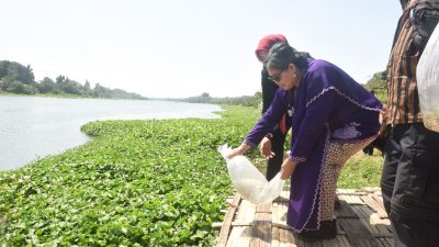 Pj Wali Kota Kediri Zanariah Tebar 35.000 Benih Ikan Bersama WWI Regional Kediri di Sungai Brantas di Momen 17 Agustus, Ini Infonya