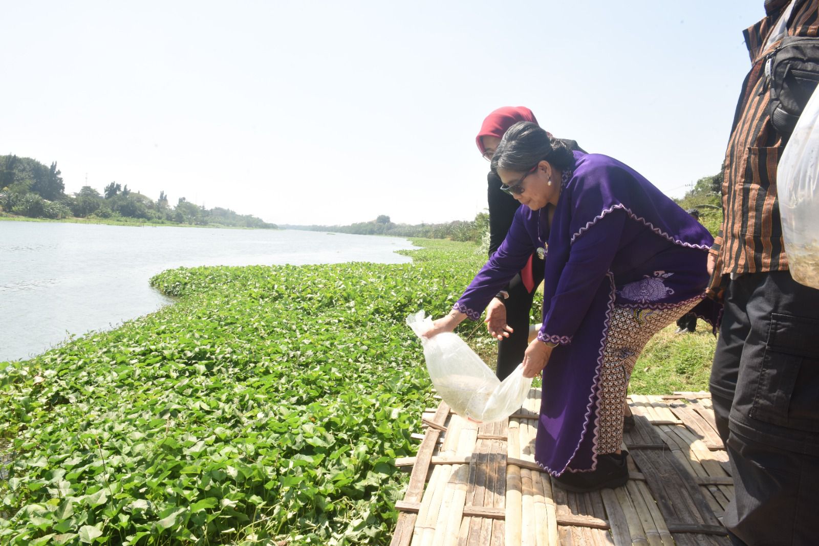 Pj Wali Kota Kediri Zanariah Tebar 35.000 Benih Ikan Bersama WWI Regional Kediri di Sungai Brantas di Momen 17 Agustus, Ini Infonya