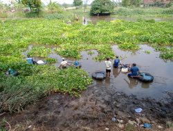 Pladu di Bendungan Baduk Nganjuk, Pencari Ikan Terhalang Eceng Gondok