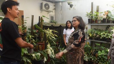 Kunjungi Pelaku Tanaman Hias di Kota Kediri, Pj Wali Kota Kediri : Peluang Ekspor Tanaman Hias Besar di Kota Kediri