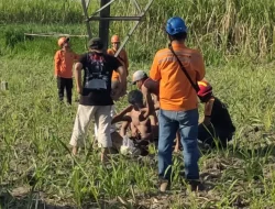 Pemuda di Kediri Rusak Tiga Rumah dan  Panjat Tower Puluhan Meter, Ini Infonya