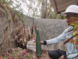 MKKA, Korban Kekerasan Guru di Ponggok, Blitar, Diasuh Nenek, Ibu Bekerja di Taiwan, Sejak Kecil Ingin Mondok