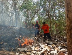 Trenggalek Dilanda 11 Kali Kebakaran Hutan dan Lahan, Pemkab Fokus Pada Penanganan