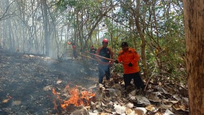 Trenggalek Dilanda 11 Kali Kebakaran Hutan dan Lahan, Pemkab Fokus Pada Penanganan