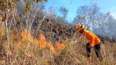 Lahan Hutan Seluas 2 Hektar di Lereng Gunung Orak-arik Trenggalek Terbakar, Total 24 Kali Karhutla