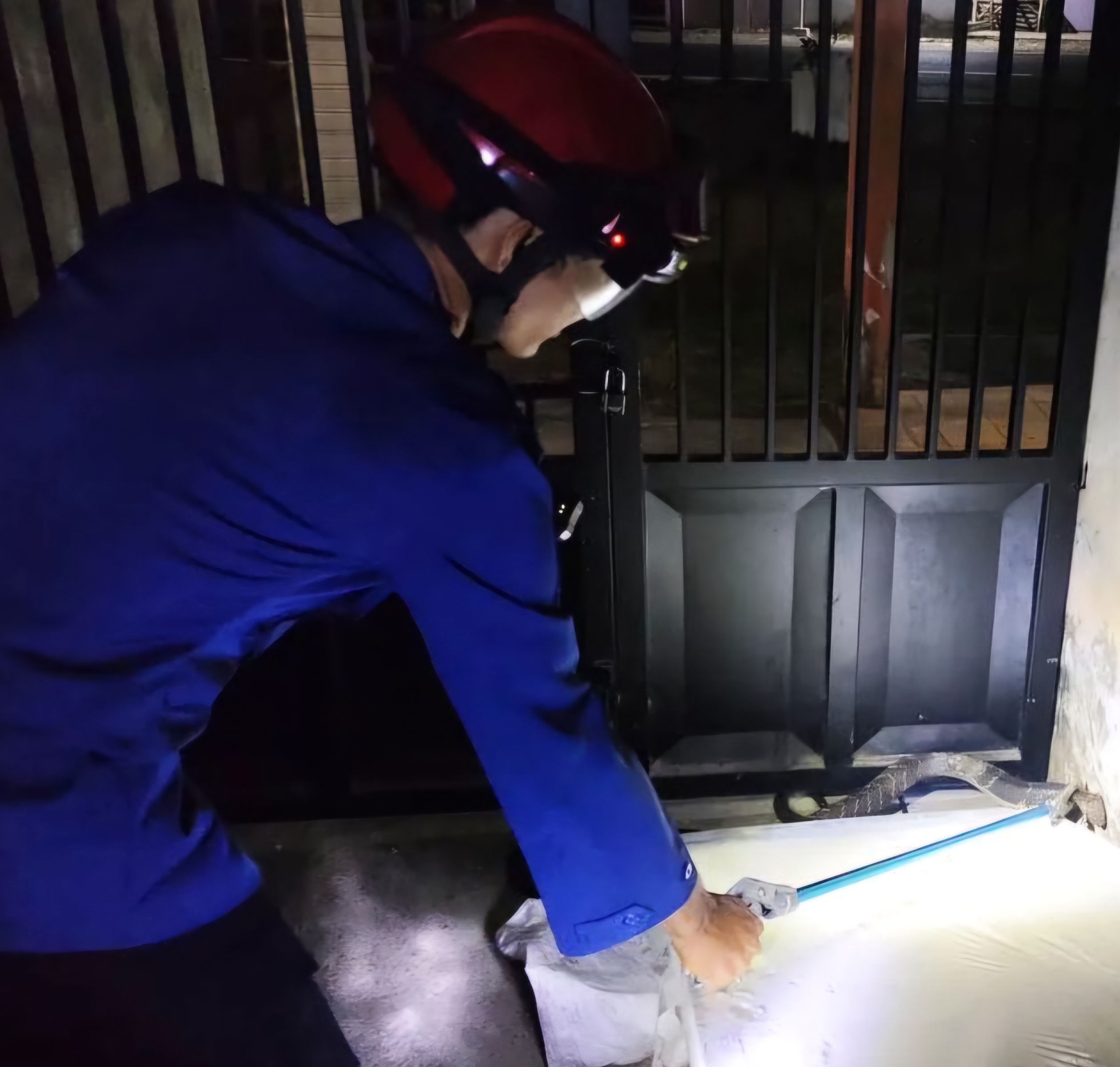 Ngerii ! Ular King Cobra 2,5 Meter Berkeliaran di Rumah Warga Watulimo, Trenggalek