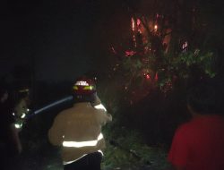 Papringan Bambu di Kaliombo Terbakar, Ini Penyebabnya