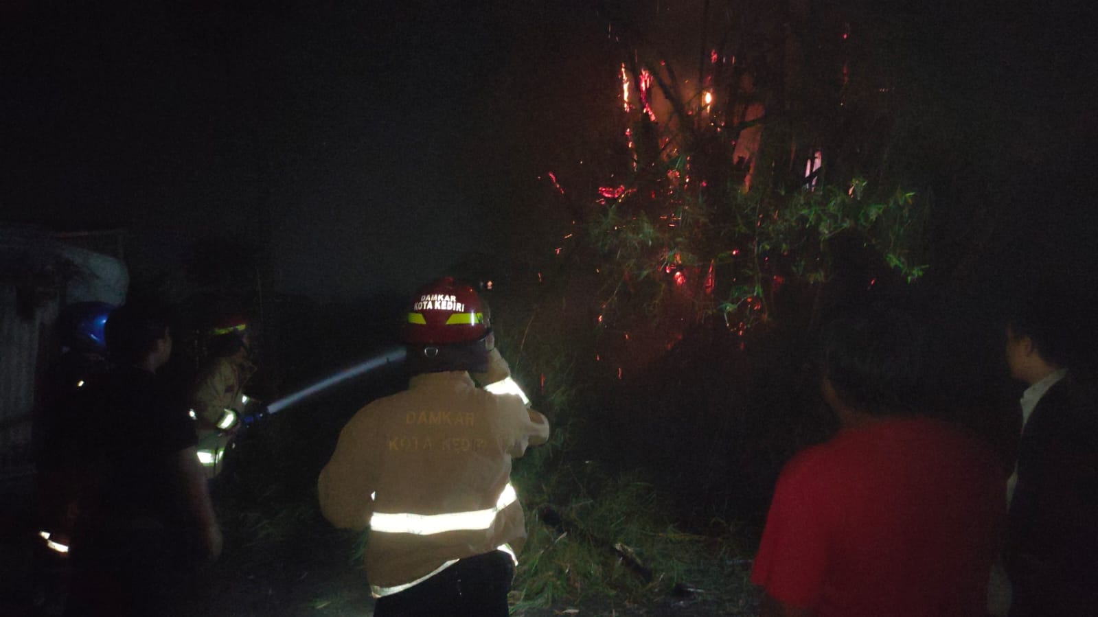 Papringan Bambu di Kaliombo Terbakar, Ini Penyebabnya
