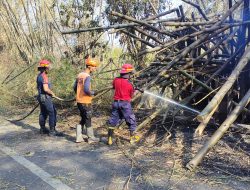 Kebakaran Terjadi di Lereng Gunung Klotok, Lahan Seluas 1 Hektare Hangus