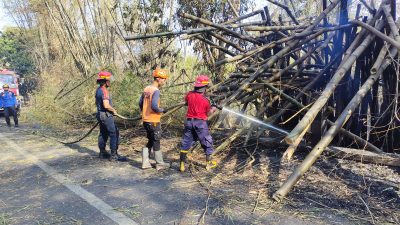 Kebakaran Terjadi di Lereng Gunung Klotok, Lahan Seluas 1 Hektare Hangus