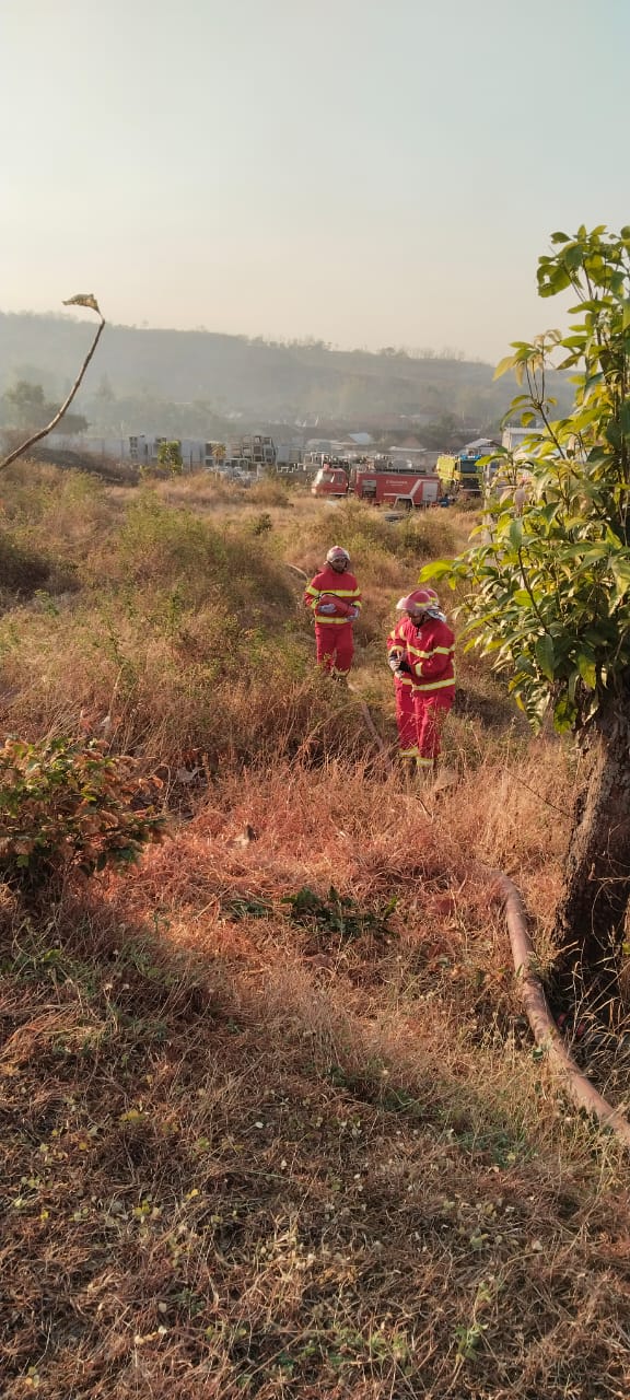 Kemarau Memuncak, BPBD Kabupaten Kediri Intensif Pantau Kawasan Rawan Karhutla