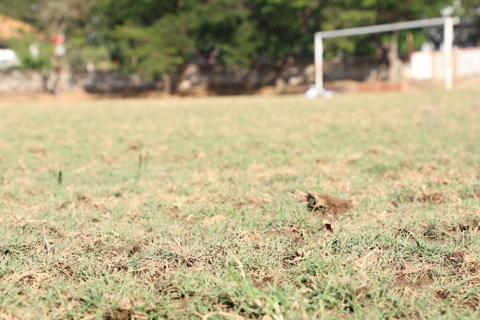 Revitalisasi Rumput Stadion Batoro Katong Ponorogo Sudah Setengah Jalan, Diharapkan Oktober Bisa Digunakan