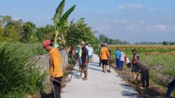 Cegah DBD, Waga Kerja Bakti Bersih-Bersih Jalan Tembus di Dusun Dedehan, Ringin rejo