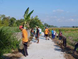 Cegah DBD, Waga Kerja Bakti Bersih-Bersih Jalan Tembus di Dusun Dedehan, Ringin rejo