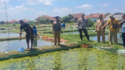 Tak Kunjung Pulang! Pria Lanjut Usia Asal Tulungagung Ditemukan Tewas di Kolam Ikan