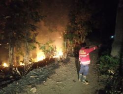 Penyebab Kebakaran Lahan Pohon Jati di Tulungagung Masih Belum Diketahui 