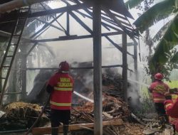 Gegara Bakar Sampah! Kandang Pakan Ternak di Tulungagung Ikut Terbakar, Kerugian Capai Puluhan Juta Rupiah 