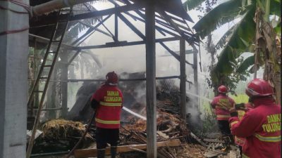 Gegara Bakar Sampah! Kandang Pakan Ternak di Tulungagung Ikut Terbakar, Kerugian Capai Puluhan Juta Rupiah 