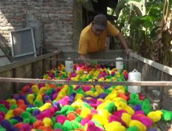 Inspirasi Usaha Ayam Warna-warni Jombang, Jumain Waluyo Jati Raih Omzet Bulanan Rp50 Juta