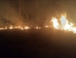 Tiga Hektare Lahan Jati Perhutani di Tulungagung Terbakar Hebat, Hampir Memasuki Wilayah Pemukiman