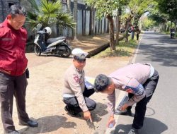 Benturan Maut! Pekerja Kontruksi Asal Kota Batu Tewas Akibat Tak Kuasai Laju Motor