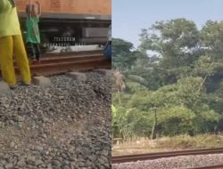 Video Detik-detik 4 Orang Tersambar Kereta Api Fajar Utama di Karawang Hebohkan Warganet