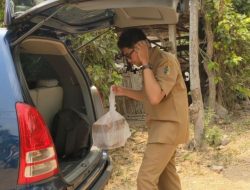 Keracunan Massal di Dusun Pasir Tulungagung, Satu Warga Meninggal Dunia Gegara Nasi Berkat Kondangan!