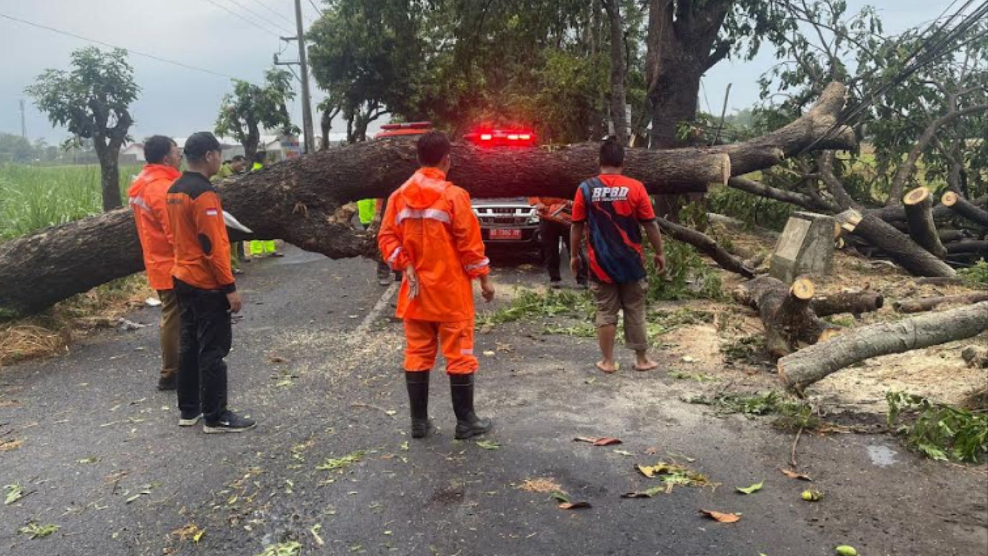 Tulungagung Diterjang Hujan Angin Selama Tiga Jam, Banyak Pohon Tumbang Berjatuhan