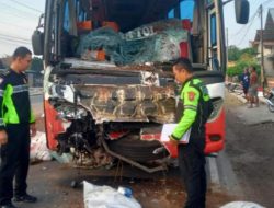 Bus Harapan Jaya Tabrak Truk Pengangkut Pupuk Kandang, Dua Orang Jadi Korban!