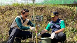 Menjaga Kelestarian Alam, Perhutani KPH Kediri Hadir dalam Penanaman Bambu di Dilem Wilis Bersama Bupati Trenggalek