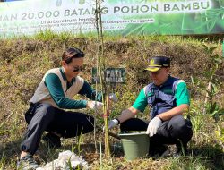 Menjaga Kelestarian Alam, Perhutani KPH Kediri Hadir dalam Penanaman Bambu di Dilem Wilis Bersama Bupati Trenggalek