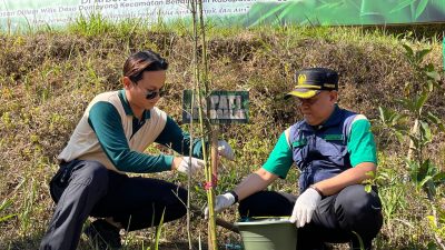 Menjaga Kelestarian Alam, Perhutani KPH Kediri Hadir dalam Penanaman Bambu di Dilem Wilis Bersama Bupati Trenggalek