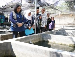 Pj Wali Kota Kediri Serahkan Bantuan Hibah 13 Unit Bak Kolam Fiber Ke Pokdakan Mutiara Mandiri Abadi, Ini Infonya