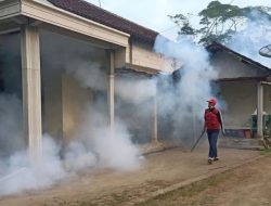 Waspada! Kasus DBD di Trenggalek Melonjak Tajam, Dilaporkan Ada Lebih dari 600 Kasus