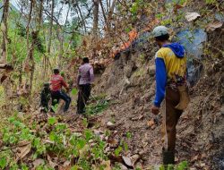 Lahan Hutan Gunung Tumpak Trenggalek Seluas 2,25 Hektar Terbakar, Kerugian Mencapai Rp 30 Juta