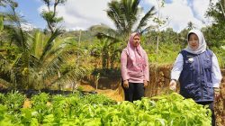 Masifkan Program P2L, Pemkab Trenggalek Fokus Tingkatkan Ketahanan Pangan dan Ekonomi