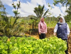 Masifkan Program P2L, Pemkab Trenggalek Fokus Tingkatkan Ketahanan Pangan dan Ekonomi