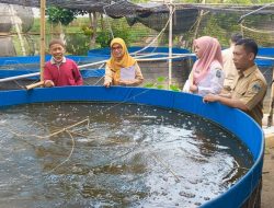 Dinas Perikanan Kabupaten Kediri Kembangkan Budidaya Ikan Nila Modern