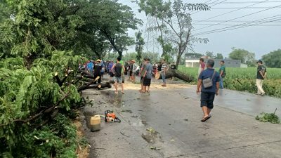 Lima Desa di Tiga Kecamatan di Kabupaten Kediri Diterjang Hujan Angin