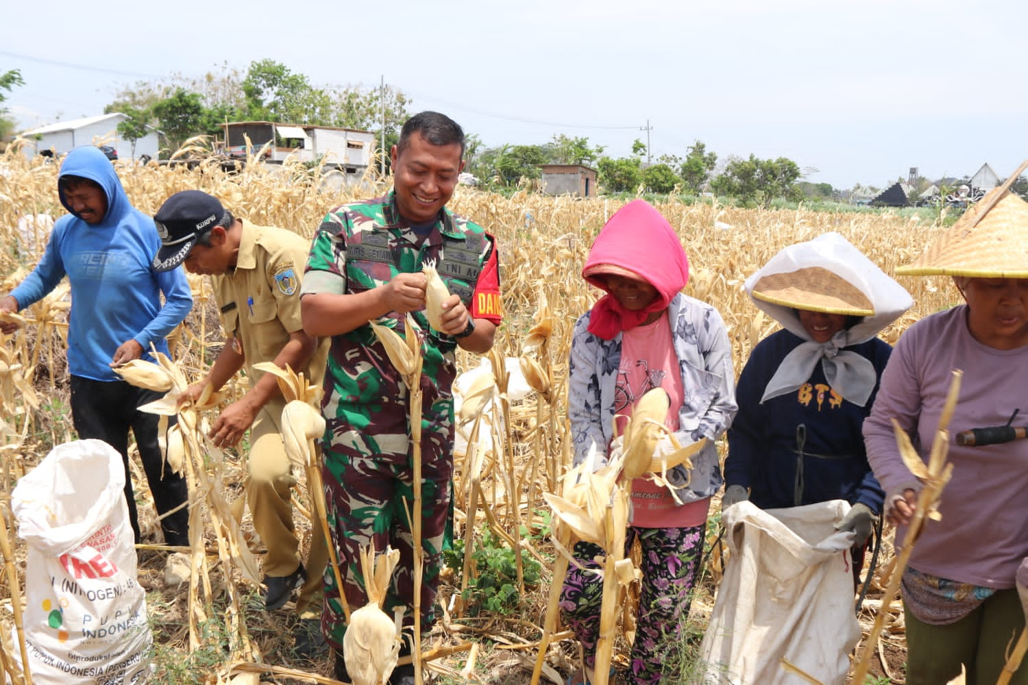 Bersama Warga Desa Pagung, Dandim 0809 Kediri Panen Jagung di Lokasi TMMD ke-122