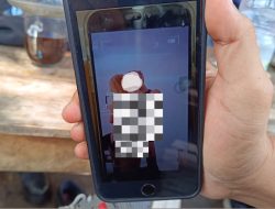 Blitar Heboh, Video Mesum Diduga Diperankan PMI Asal Blitar Beredar di Medsos