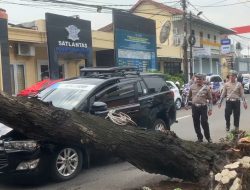 Pohon Tumbang di Depan Mapolres Ponorogo, Satu Mobil Innova Rusak Parah