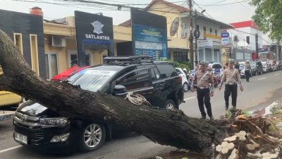 Pohon Tumbang di Depan Mapolres Ponorogo, Satu Mobil Innova Rusak Parah